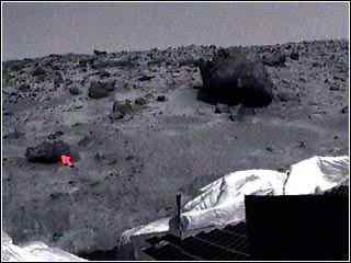 Barnacle Bill (the red arrow)